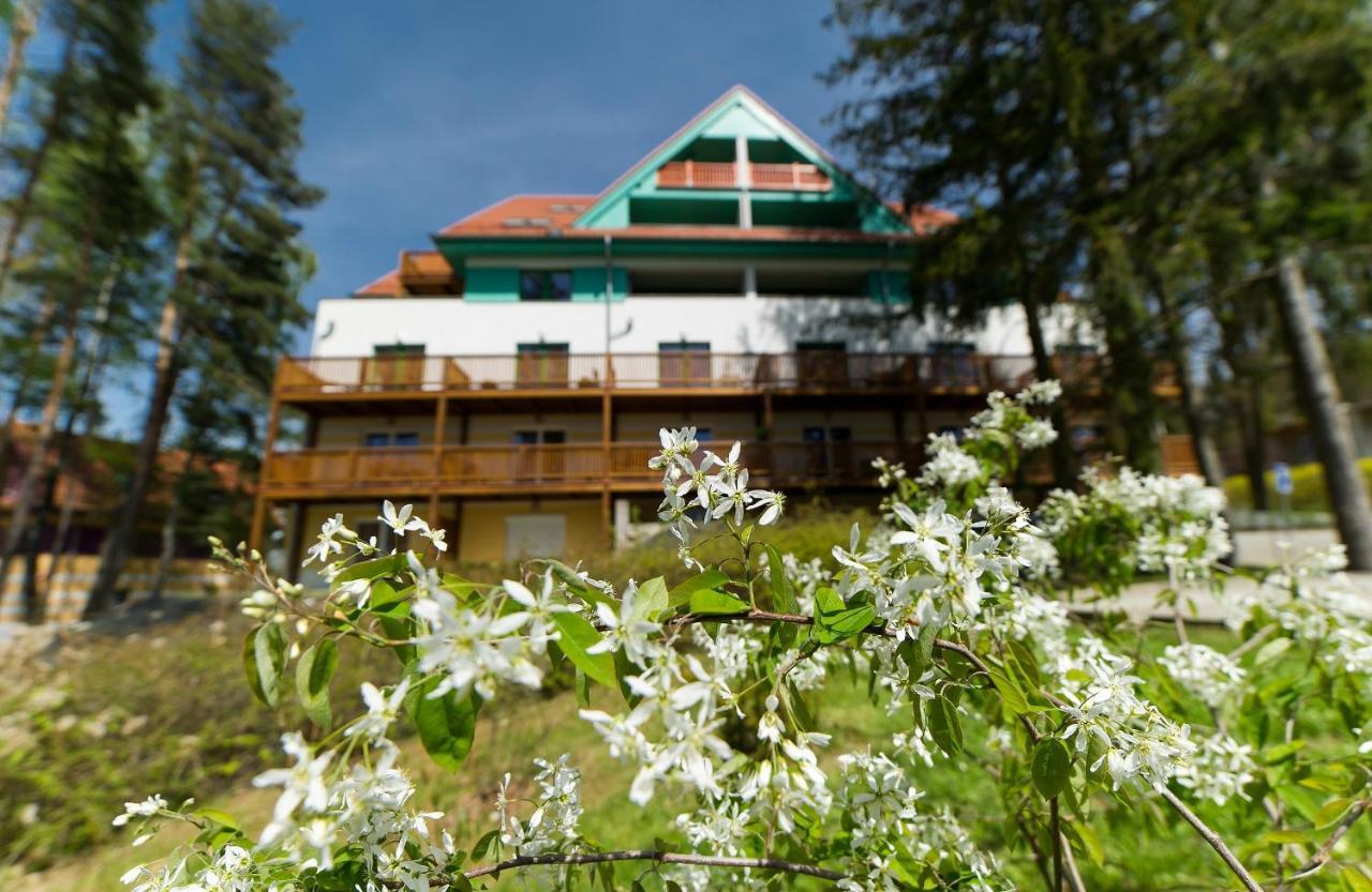 Apartmán Čtyřlístek Lipno Lipno nad Vltavou Exterior foto